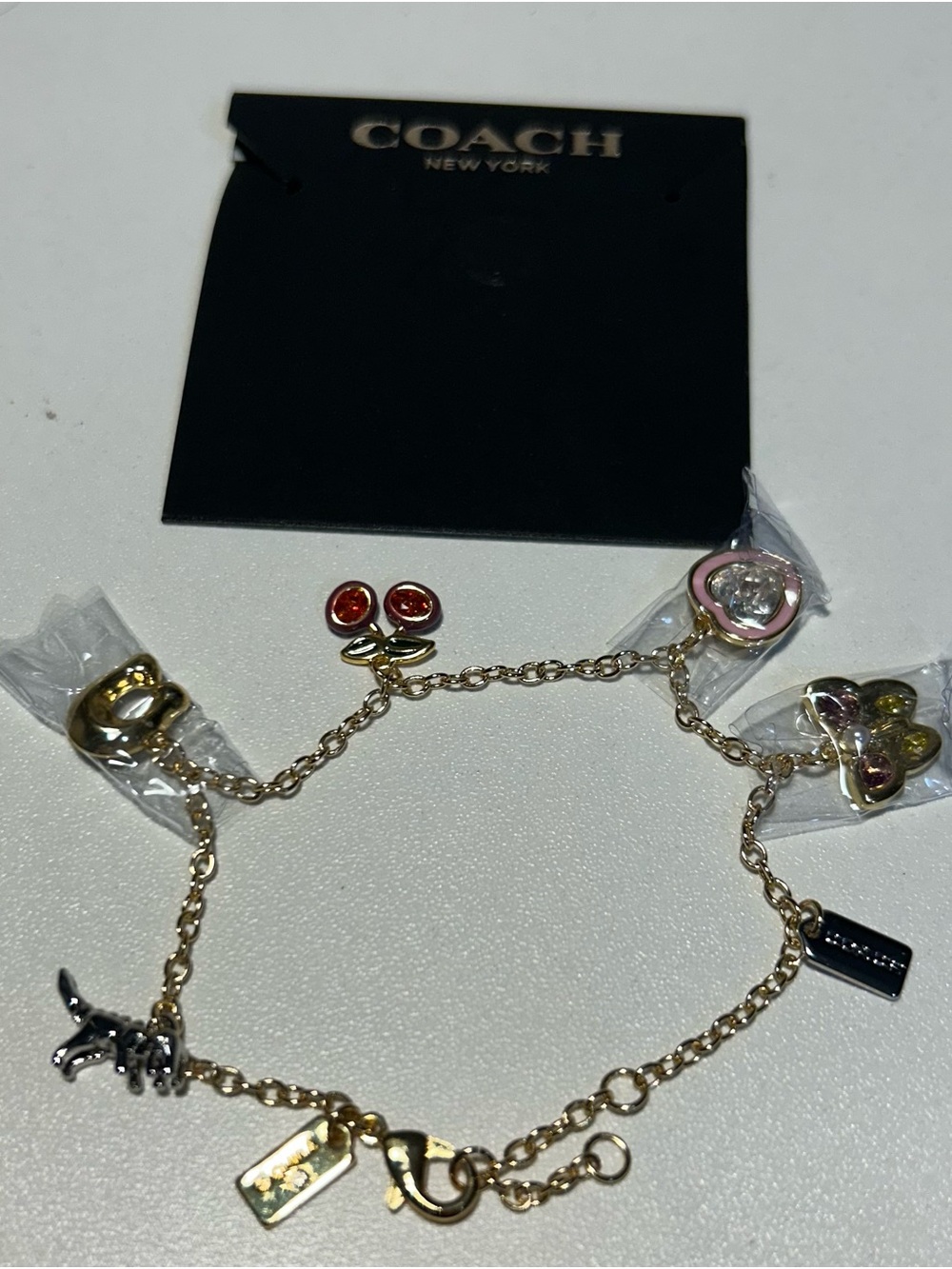 COACH Gold-Tone Charm Bracelet Cherries Heart Crystal C Butterfly Rexi